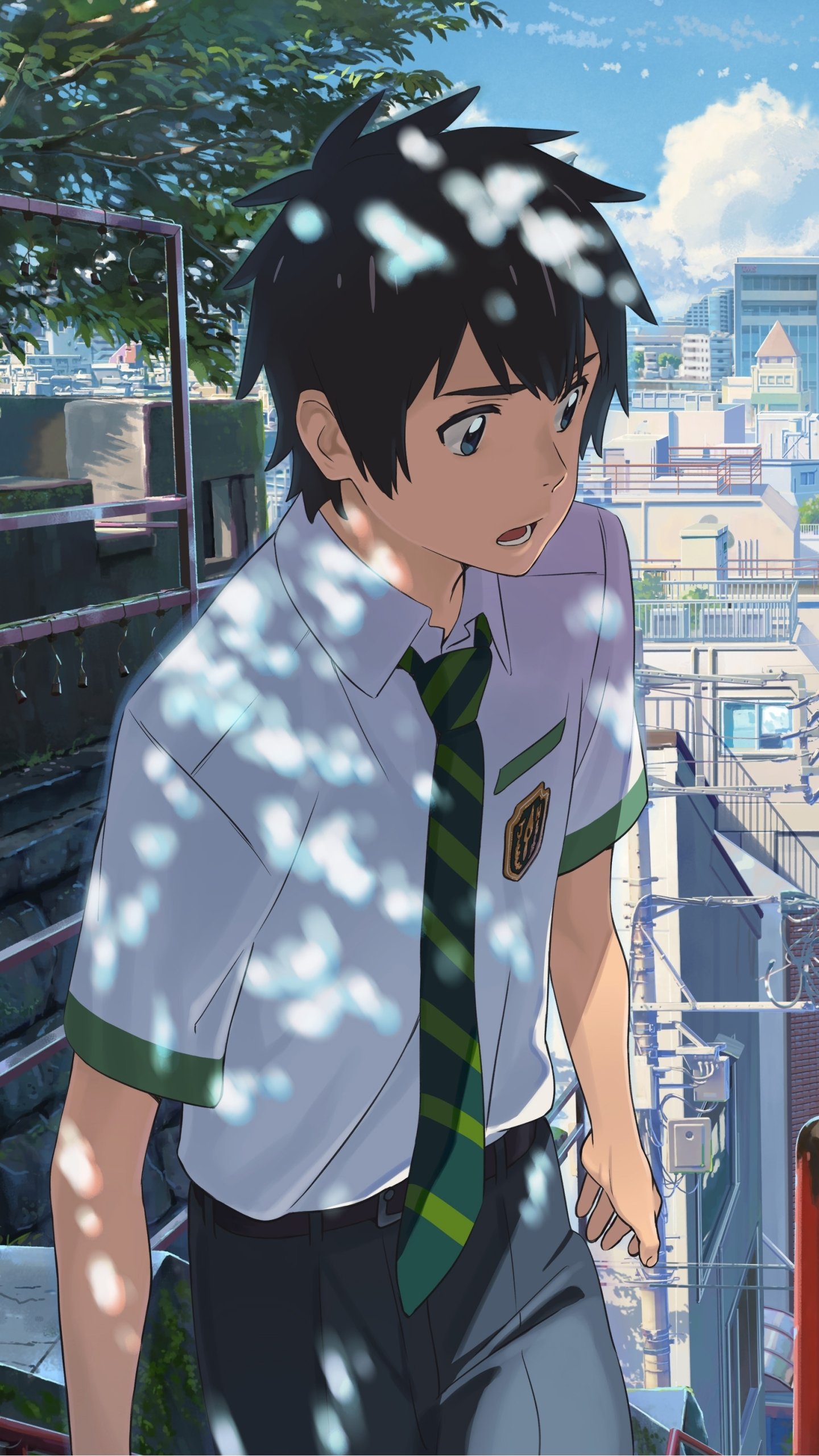 Download Your Name. Taki Tachibana Mitsuha Miyamizu Anime Phone Wallpaper