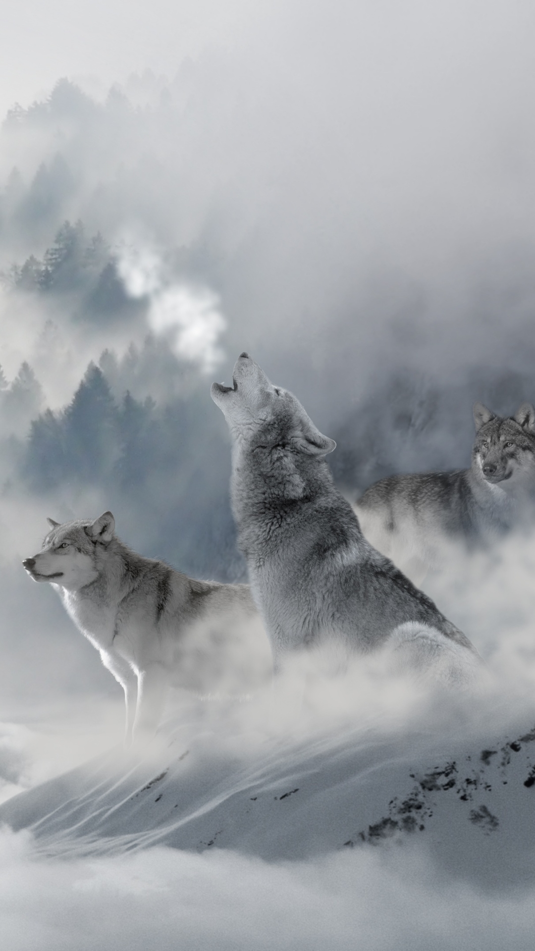 Wolves high above the mist of the clouds in a spiritual world by ...