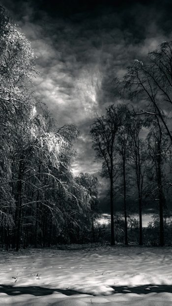  Cloudy Winter Night