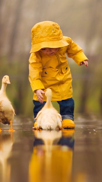 cute reflection bird duck depth of field photography child Phone Wallpaper