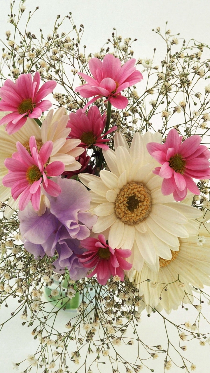 Gerbera and Daisy Bouquet - Mobile Abyss