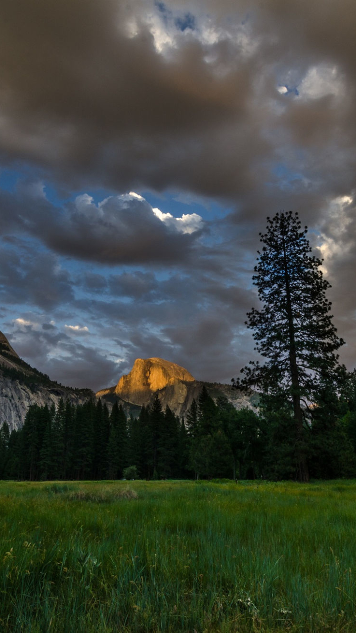 Earthyosemite National Park 720x1280 Wallpaper Id 663665