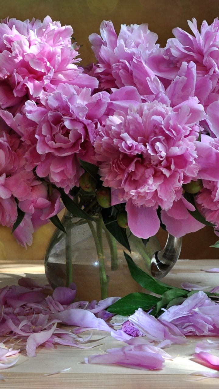 Pink Peonies in a Vase