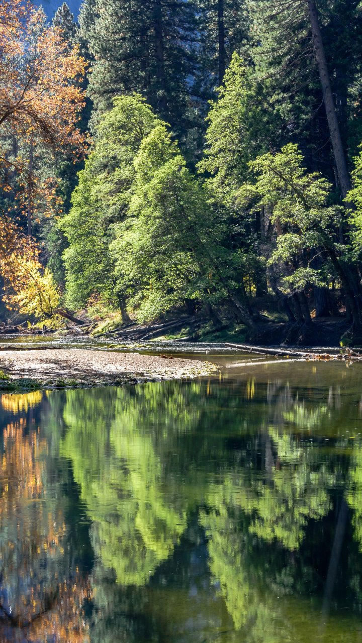 Download Reflection Nature River Phone Wallpaper - Mobile Abyss