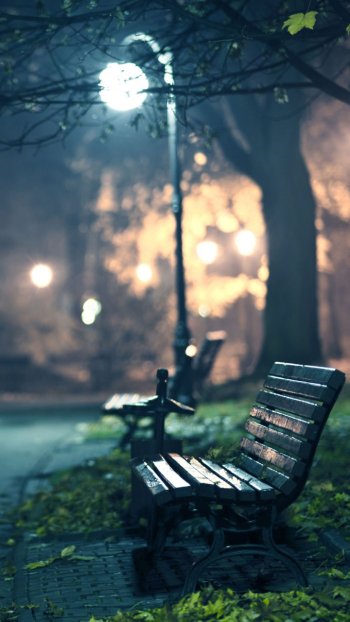  Park Benches