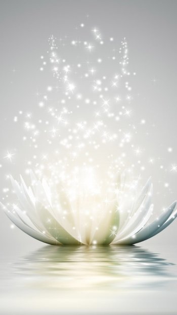  Lotus Flower