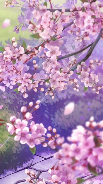 twintails grey hair cherry blossom green eyes spring pink flower blossom Zuikaku (Kancolle) Anime Kantai Collection Spring Anime Phone Wallpaper