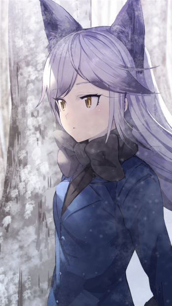 Silver Fox (Kemono Friends) Anime Kemono Friends Phone Wallpaper