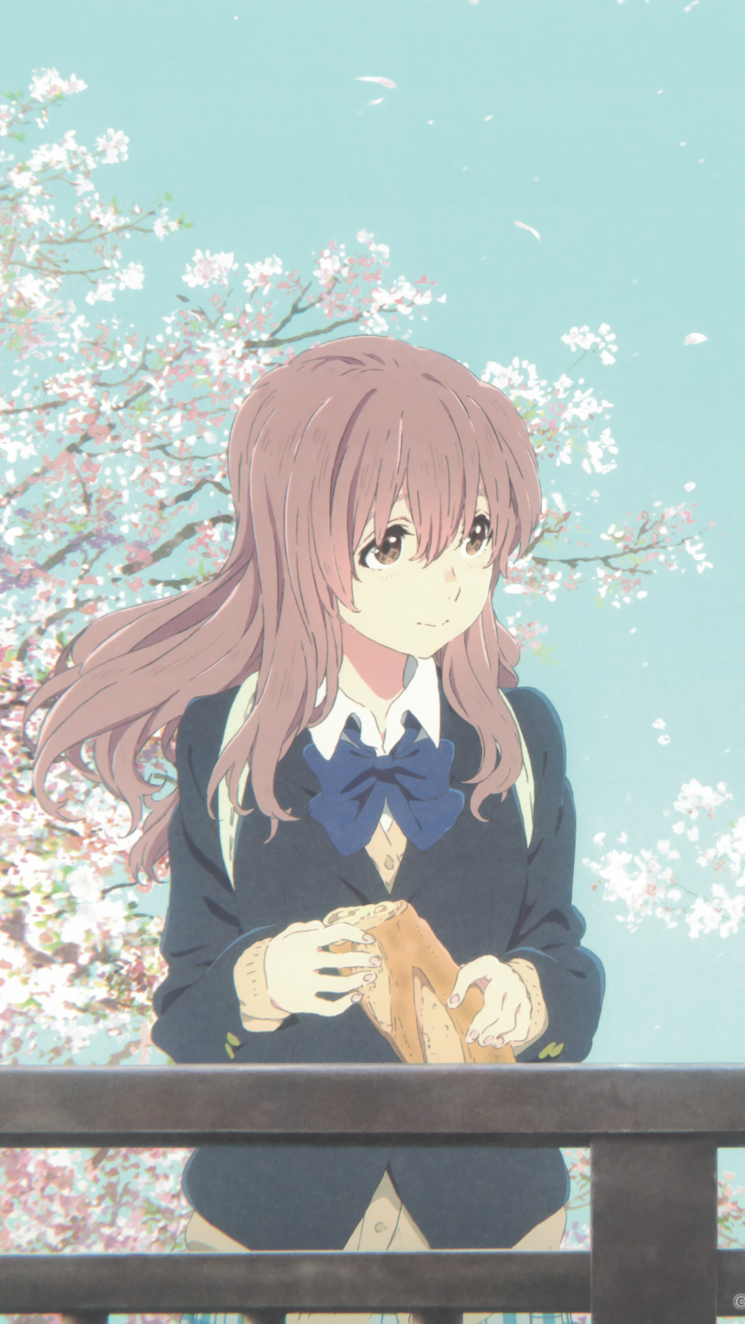 Phone wallpaper of Shouko Nishimiya from A Silent Voice, evoking her connection to Shouya Ishida; soft pastel cherry blossoms, pale blue sky and a gentle, contemplative expression.