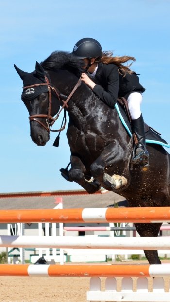  Jumping Over Obstacles At A Show by pixelia
