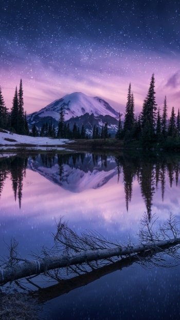 starry sky winter tree sky lake reflection nature night winter night Phone Wallpaper