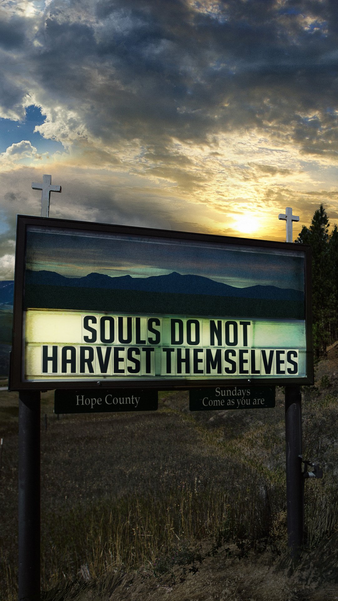 Download Video Game Far Cry 5 Phone Wallpaper