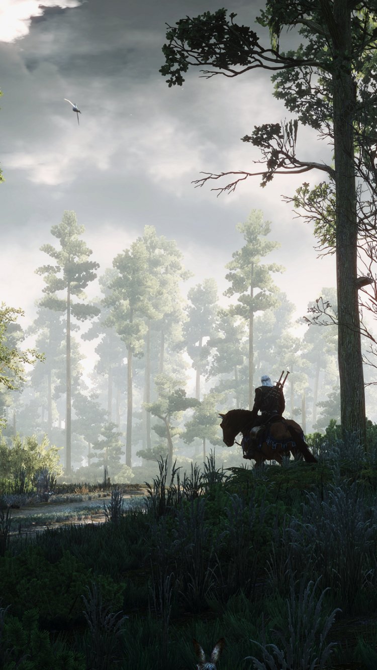 Download Video Game The Witcher 3: Wild Hunt Phone Wallpaper