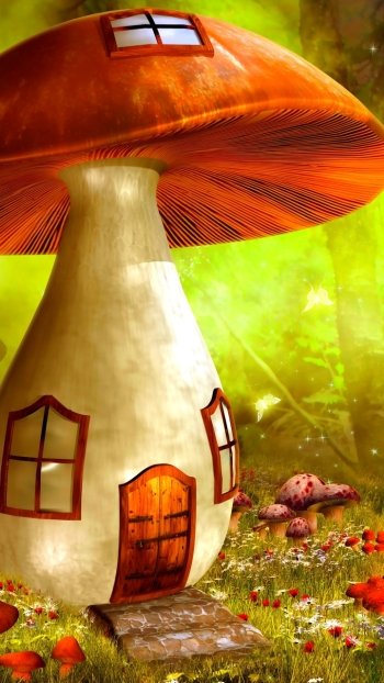  Mushroom Forest