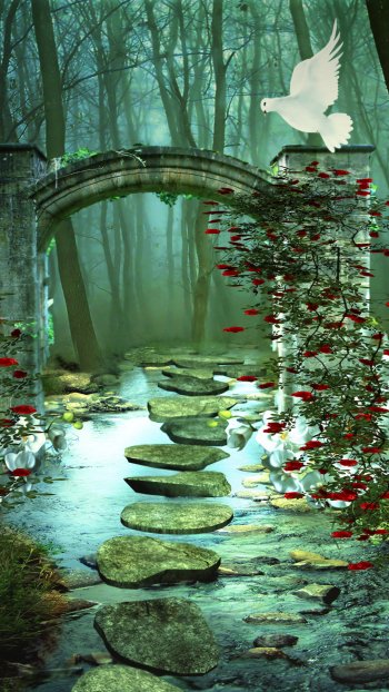  Magical Forest