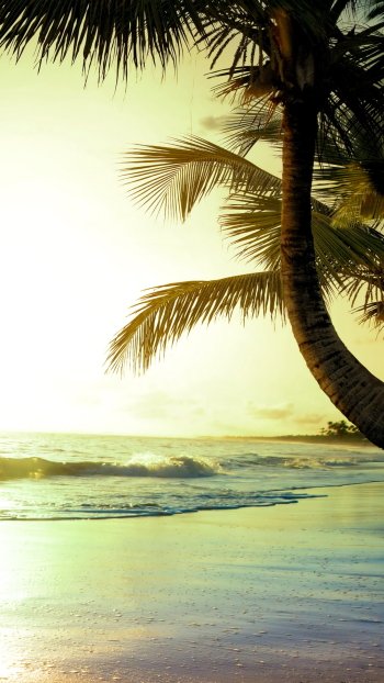  Tropical Beach Sunset