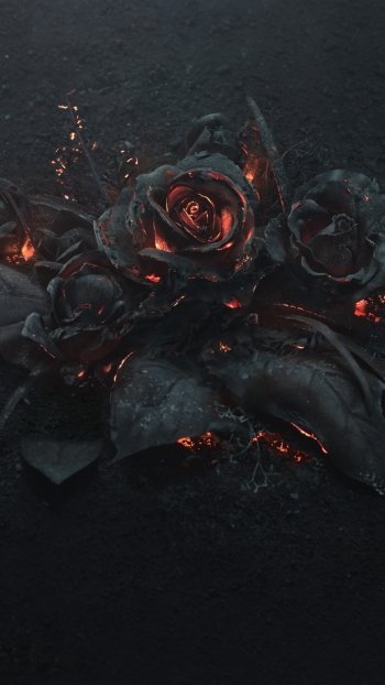 flower artistic rose Phone Wallpaper