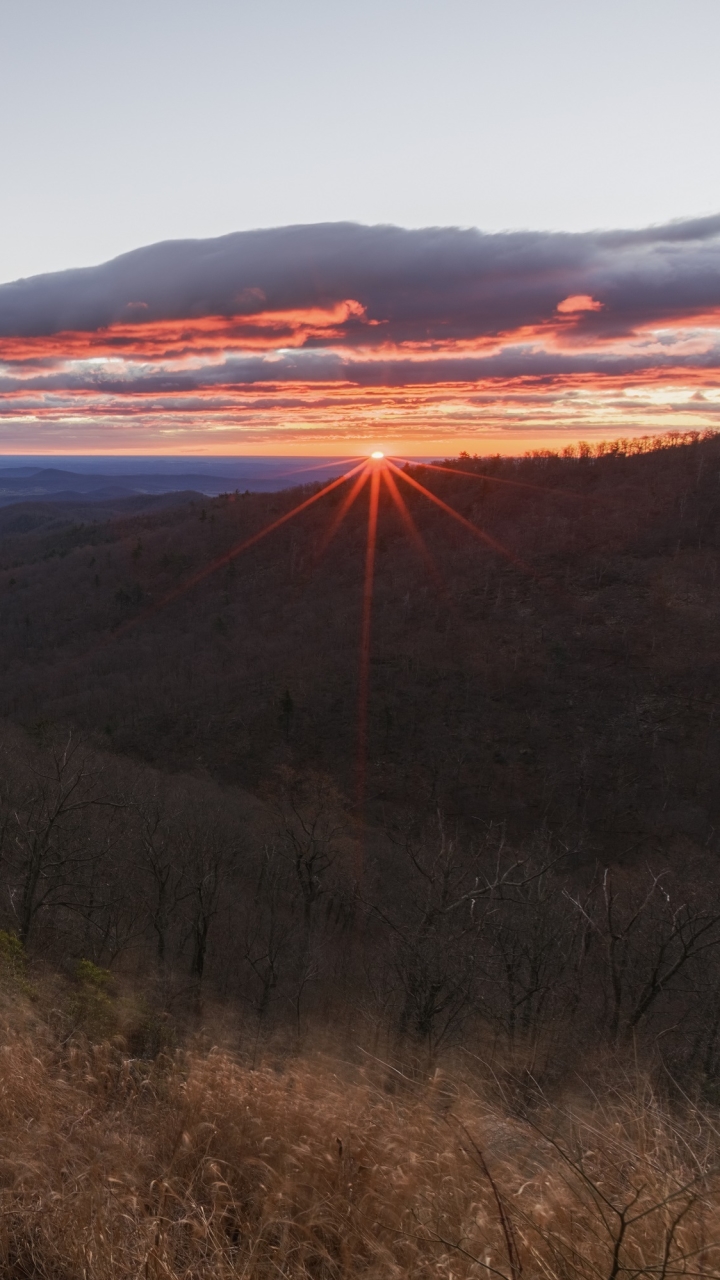 Man or Woman Watching the Sunrise, Hazel Mountain Overlook, Rappahannock County, Virginia by skeeze