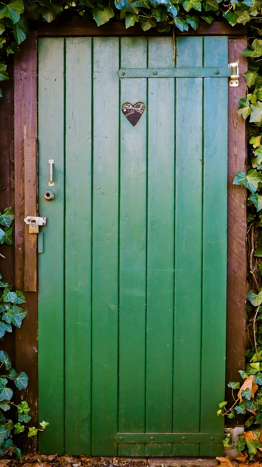 Door of Ivy-Covered House