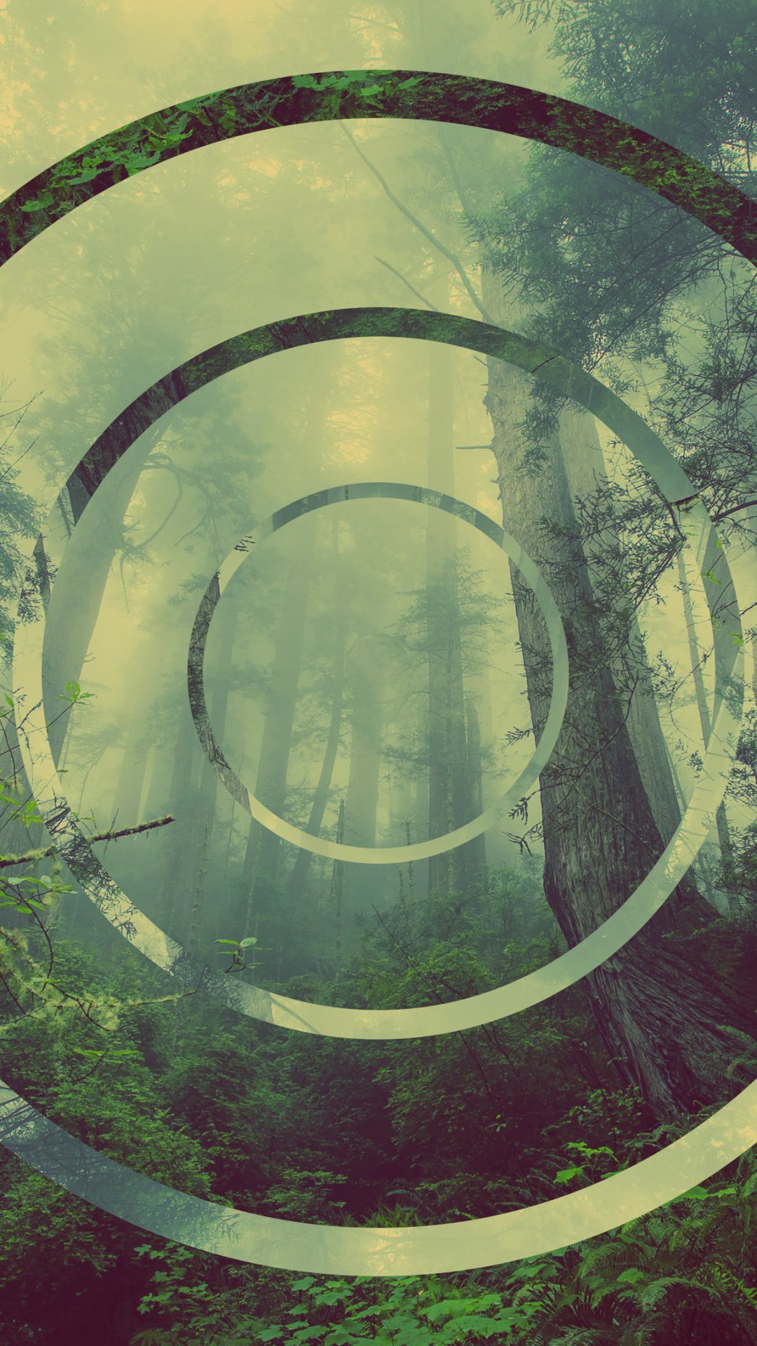 Download Circle Green Forest Artistic Polyscape Phone Wallpaper