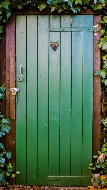  Door of Ivy-Covered House