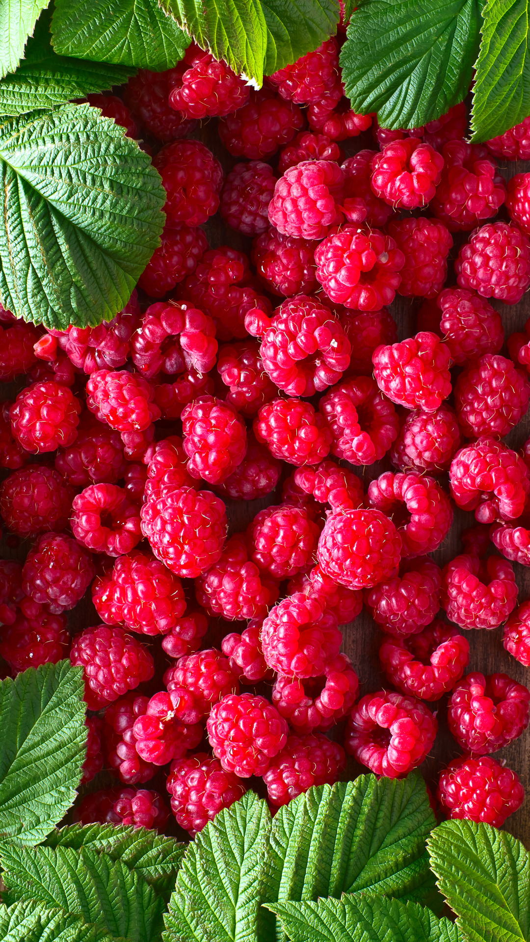 Free download Raspberry Background Wallpapers 83 images in Collection Page  1 3872x2592 for your Desktop Mobile  Tablet  Explore 44 Raspberry  Background  Raspberry Pi OS Wallpapers
