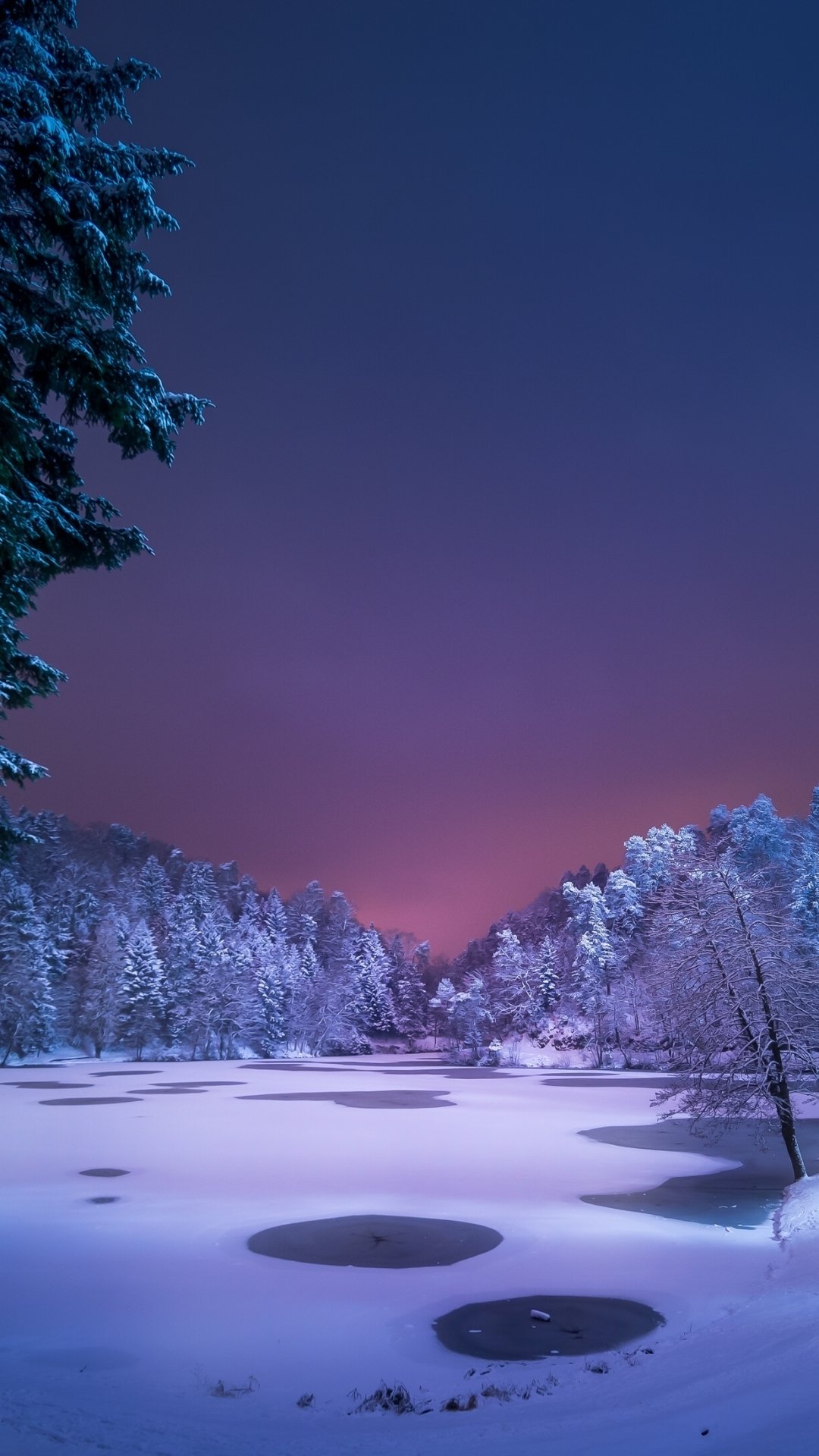 Download Dusk Forest Tree Snow Earth Nature Winter Phone Wallpaper
