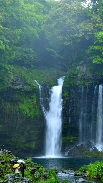  Green Forest Waterfall