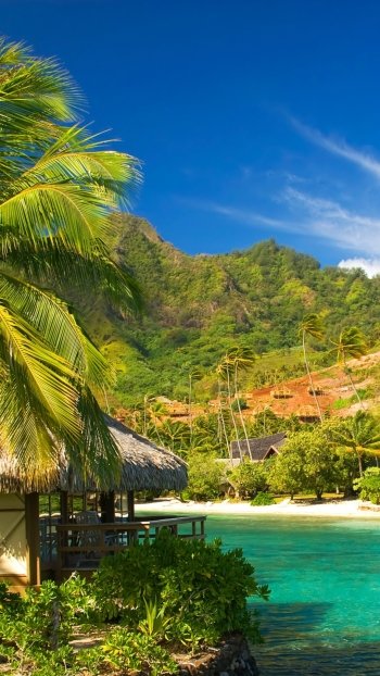 cottage photography tropical Phone Wallpaper