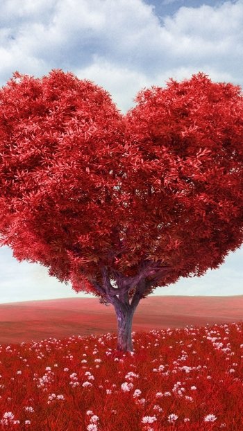  Valentine Heartshaped tree