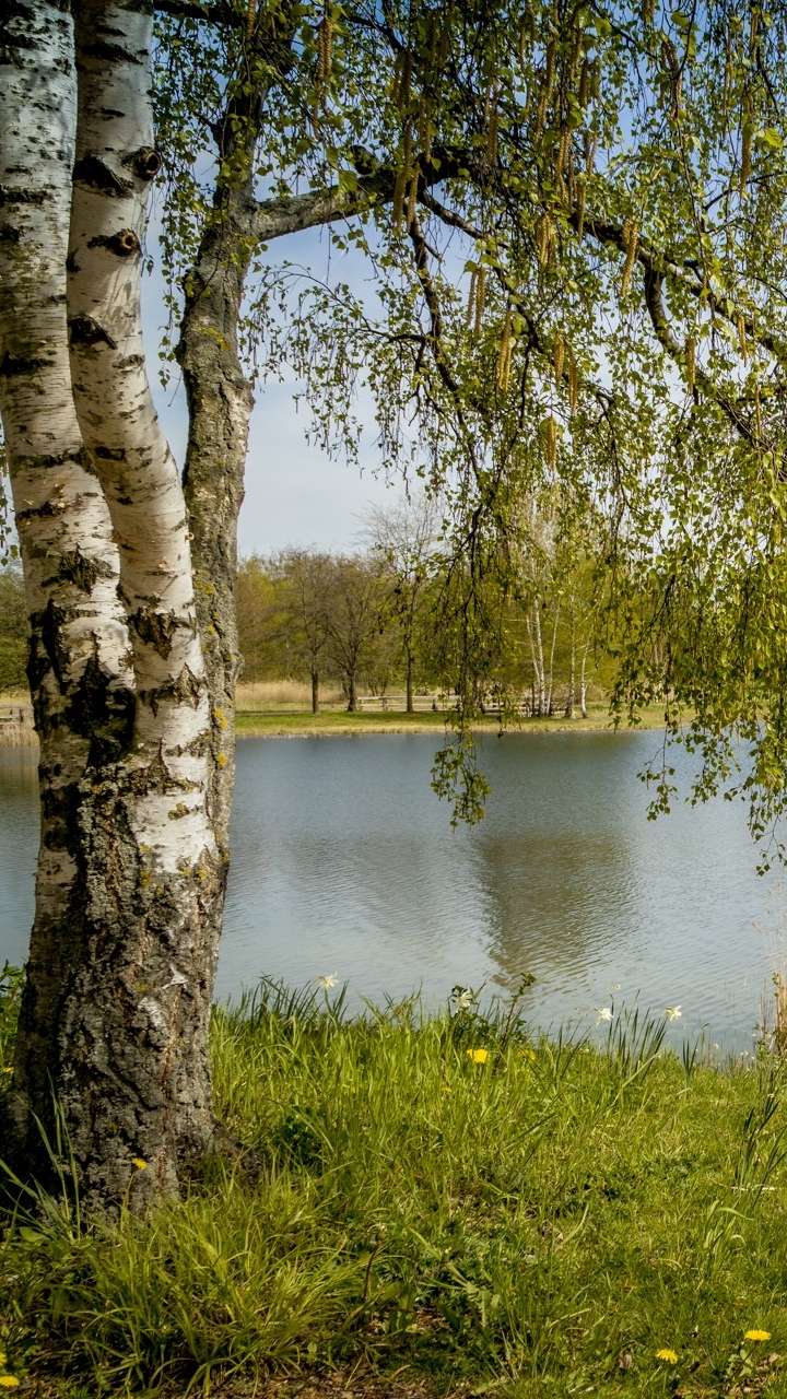 Britzer Garten, a large park in the south of Berlin by Thomas Wolter