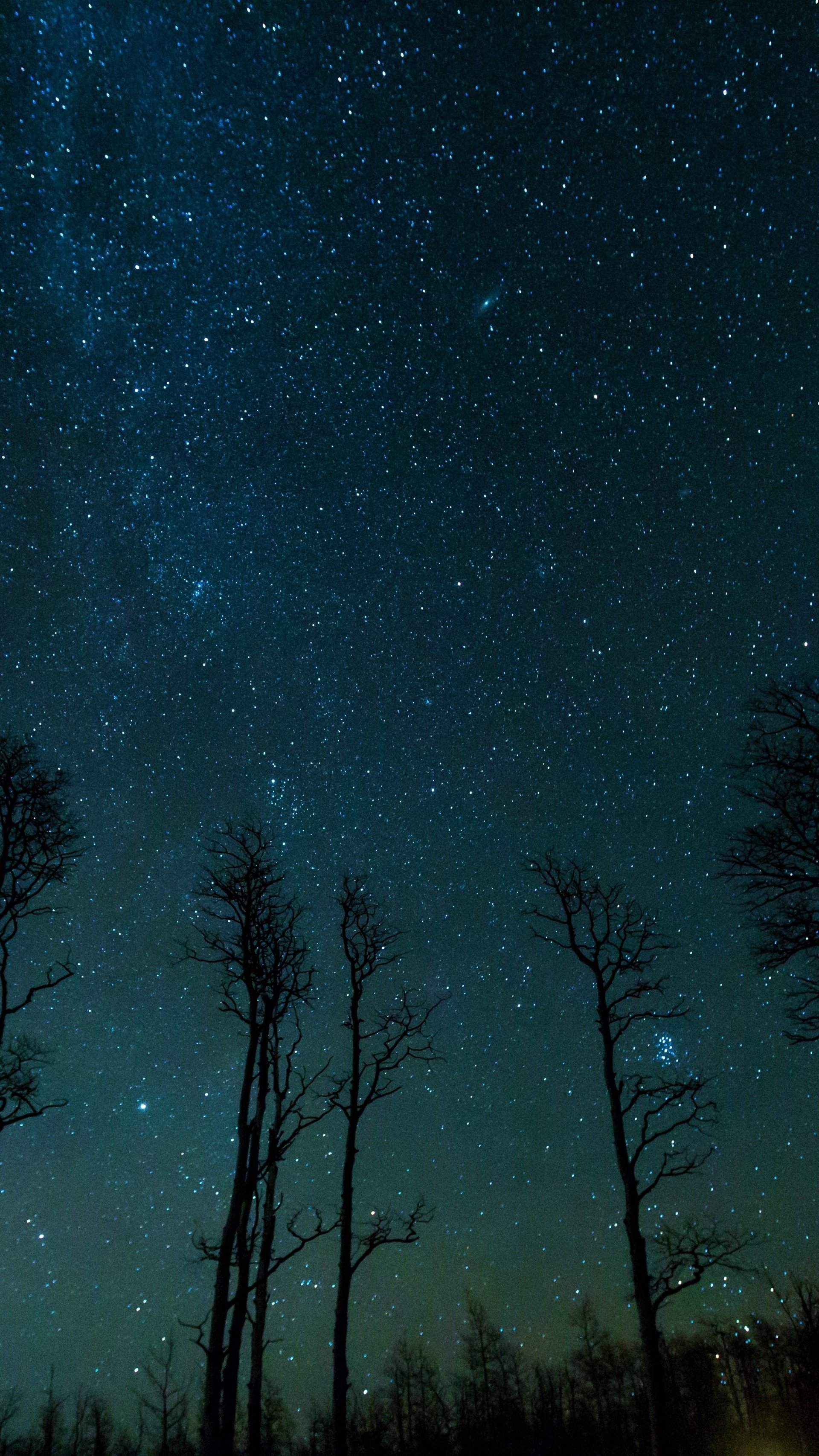 Phone wallpaper of silhouetted trees in nature against a green-blue night sky filled with the Milky Way and stars.