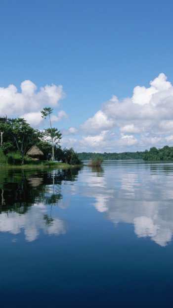  Amazon River