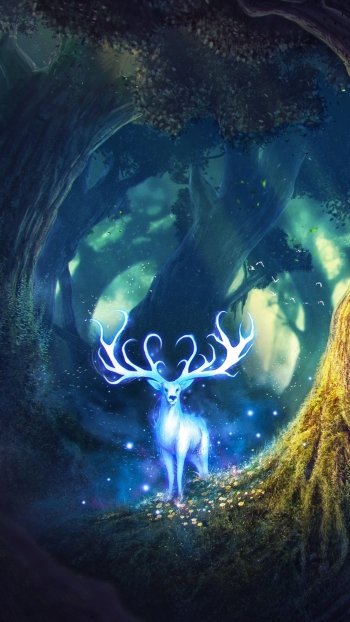  Magic forest by Will Marconi
