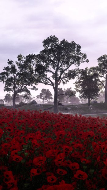 red flower poppy flower landscape video game Battlefield 1 Phone Wallpaper
