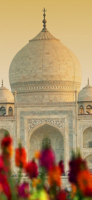 architecture dome India monument man made Taj Mahal Phone Wallpaper
