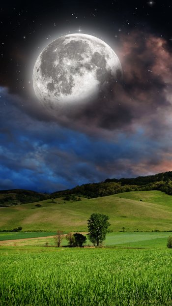 star starry sky field meadow sky nature moon Phone Wallpaper
