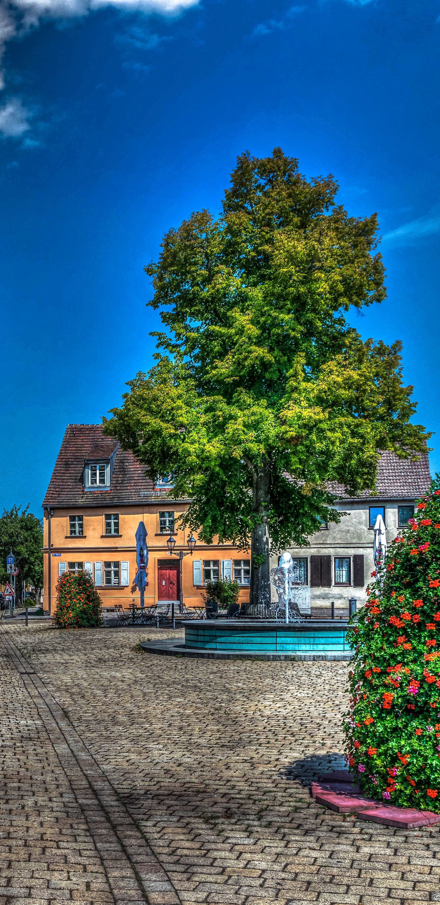 Portrait HDR phone wallpaper of a sunlit town square in Brandenburg, Germany: cobblestone street, traditional houses, a central fountain and a large leafy tree.
