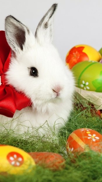  Easter bunny and eggs in a basket