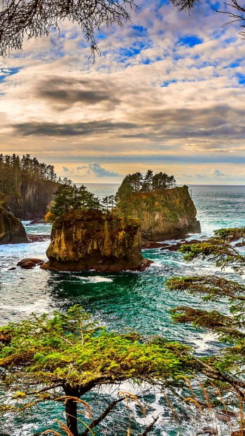  Ocean Rocks on Coast of Washington