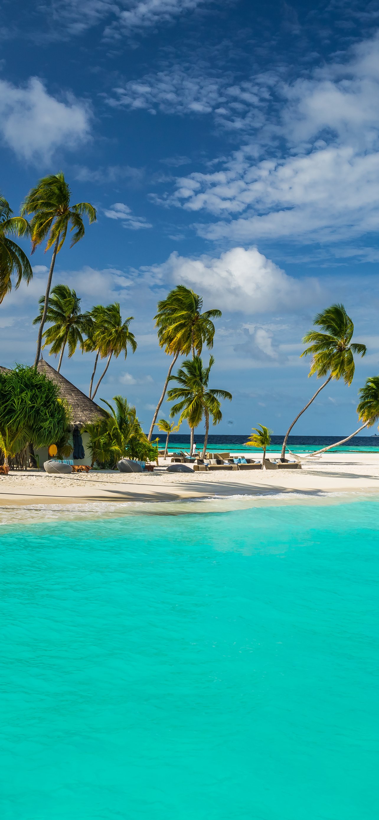 Download Maldives Constance Halaveli Resort Tropics Seaside Palm Tree Sea Sky Resort Photography Tropical Phone Wallpaper