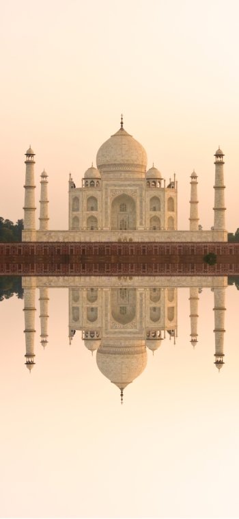 architecture monument dome water reflection building India man made Taj Mahal Phone Wallpaper