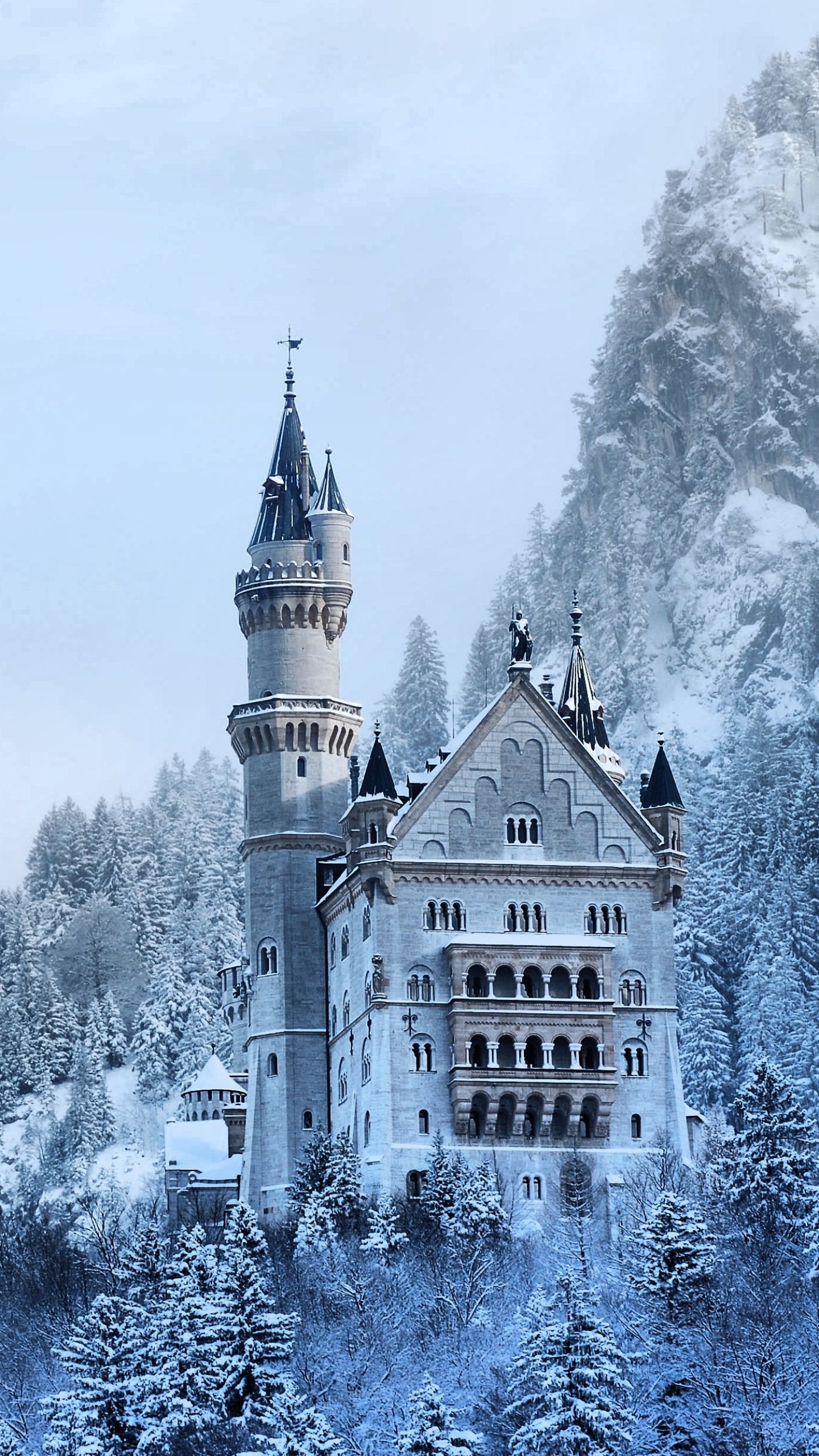 Download Man Made Neuschwanstein Castle Phone Wallpaper