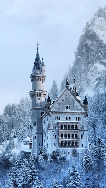 man made Neuschwanstein Castle Phone Wallpaper