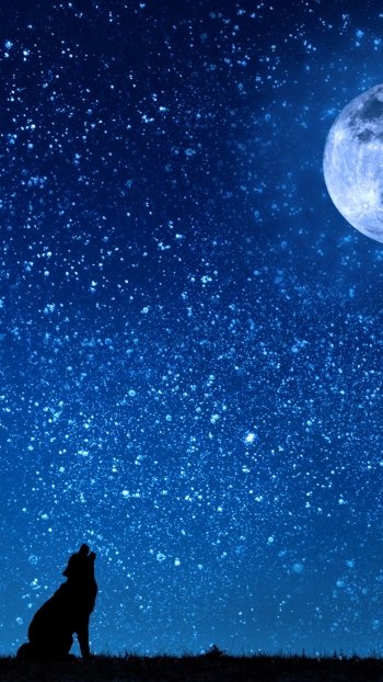  Wolf Howling at Full Moon