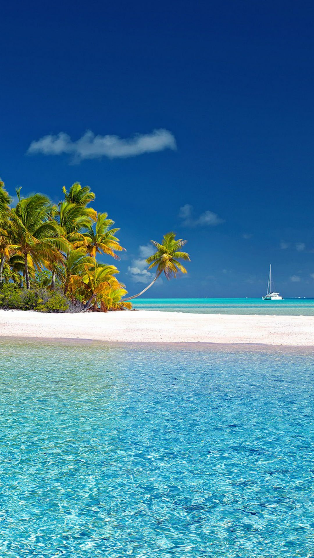 Download Palm Tree Island Tropical Earth Nature Ocean Phone Wallpaper