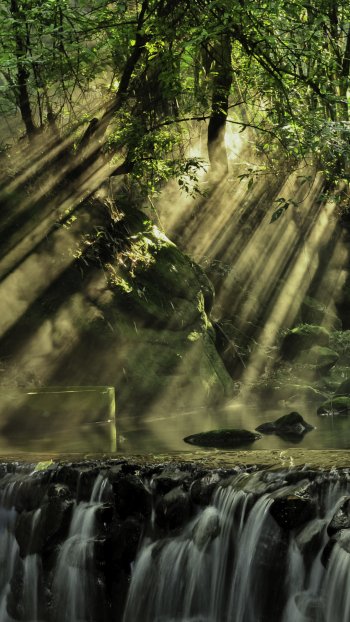 greenery stream waterfall nature sunbeam Phone Wallpaper