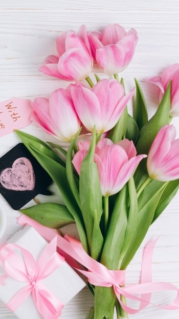 love pink flower tulip bouquet flower photography still life Phone Wallpaper