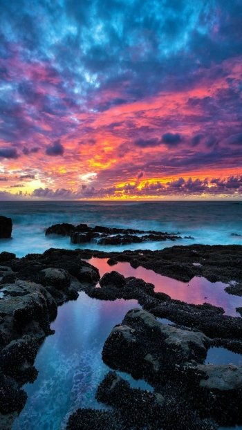 Phone wallpaper: vivid purple and blue sunset over the ocean horizon, rocky tidal pools reflecting a fiery sky — earth and sea meeting on the shore.