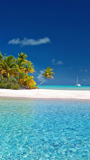  Tropical Paradise